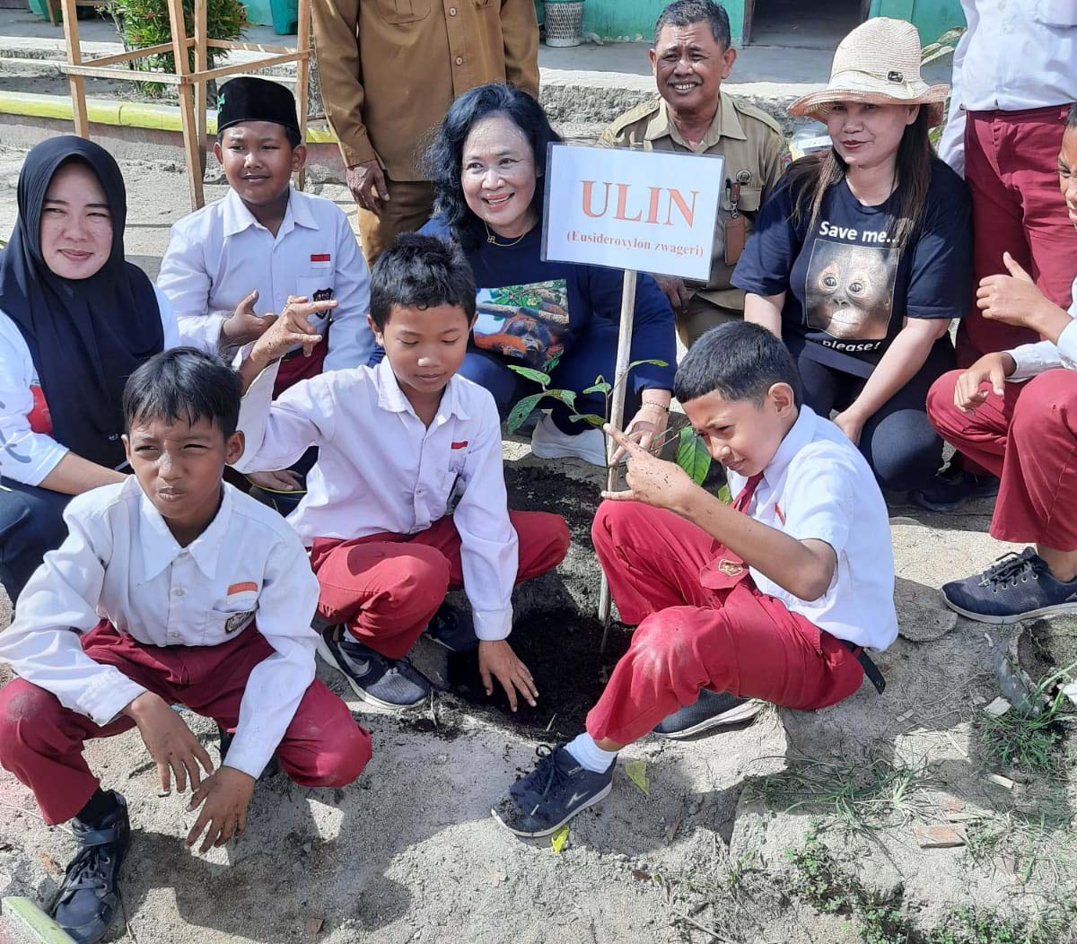 Tanam Pohon Ulin