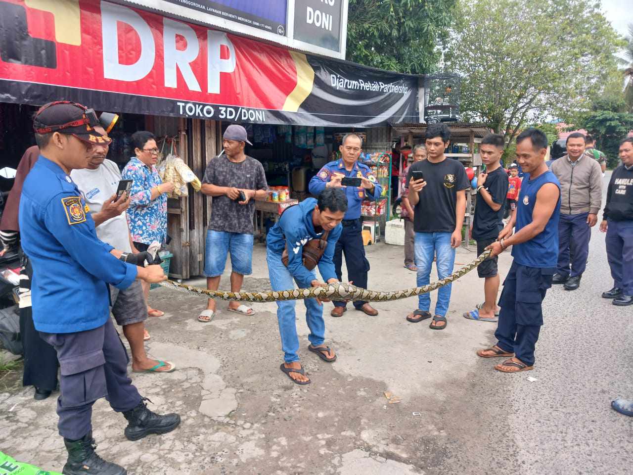 JADI TONTONAN: Tim rescue saat mengevakuasi ular piton yang masuk di salah satu kawasan pemukiman warga di Palangka Raya, (30/8)