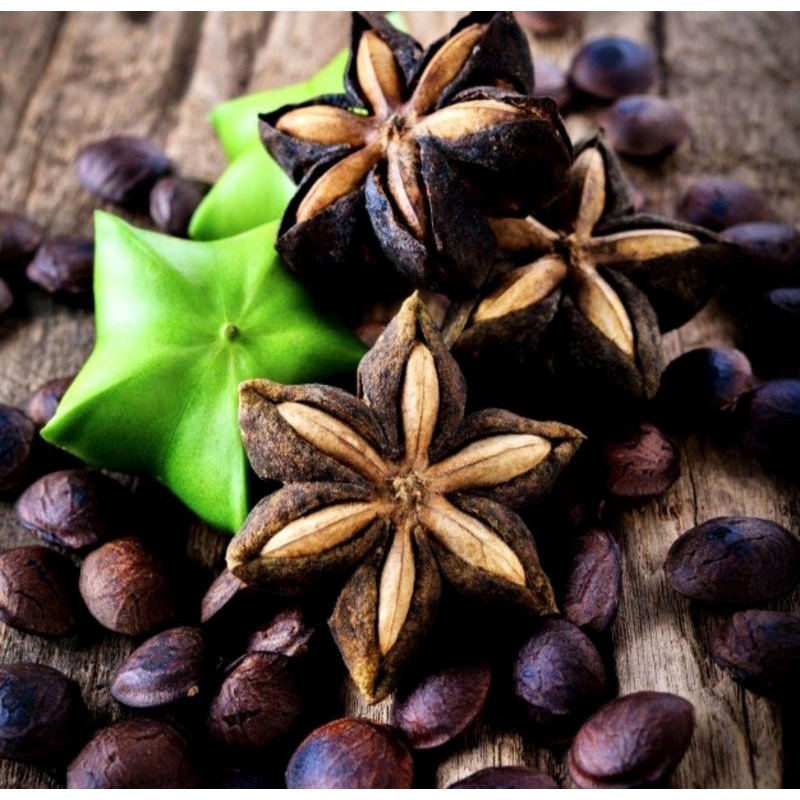 Wujud Kacang Sacha Inchi