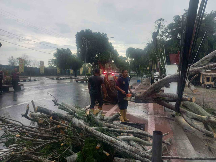 TIM GABUNGAN: Badan Penanggulangan Bencana Daerah Kobar, Damkar Kobar, dan Huma Singgah Itah mengevakuasi pohon tumbang di Jalan Sutan Syahrir, Pangkalan Bun, Minggu (29/9).