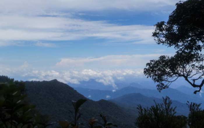 Puncak Gunung Bukit Raya.