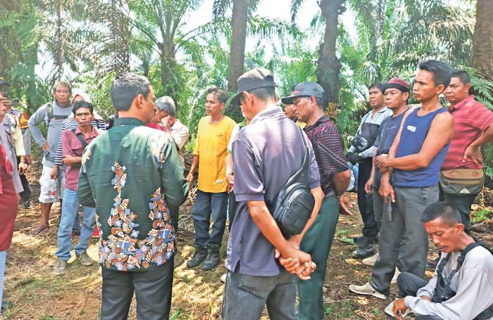 DATANGI LAHAN: Massa dari anggota Koperasi Perjuangan Kita Bersama, Lamandau, saat mendatangi lahan perkebunan kelapa sawit yang bersengketa, Kamis (24/10). (Istimewa)