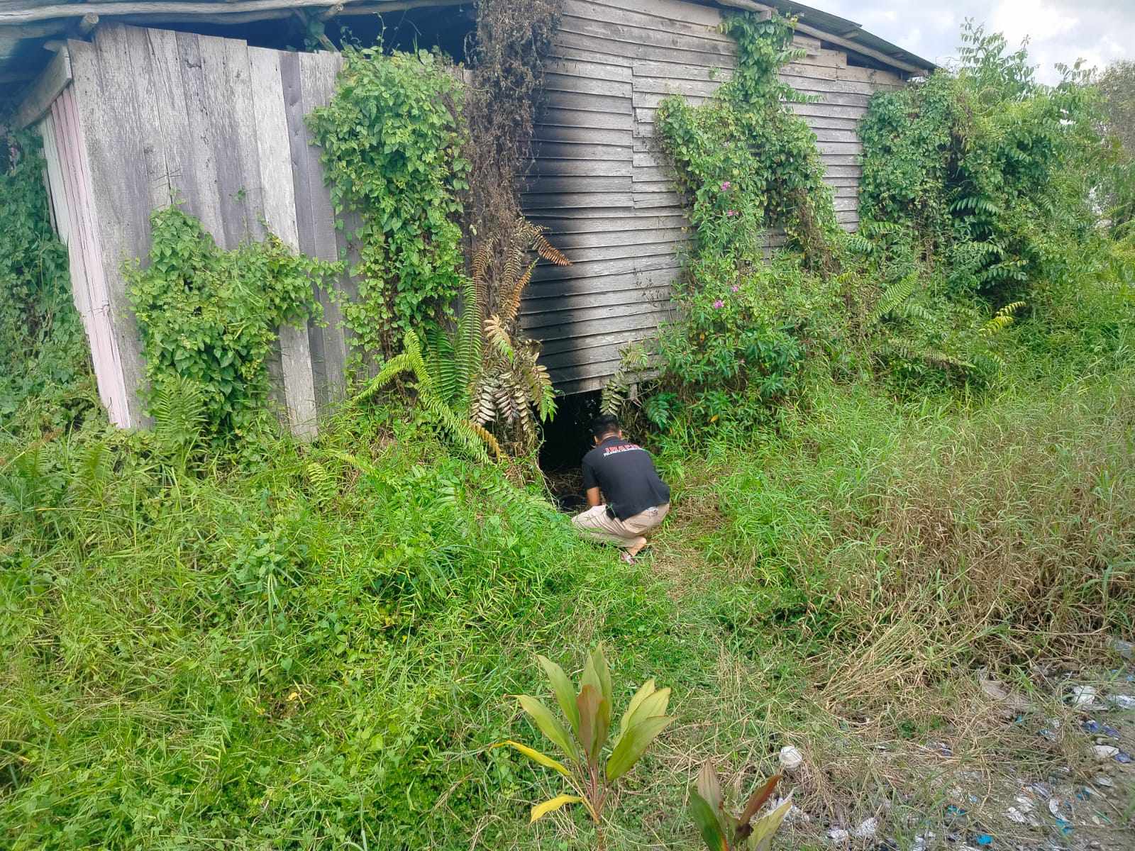 Salah satu rumah kosong di Palangka Raya yang nyaris dibakar oleh orang tak dikenal, baru-baru tadi.