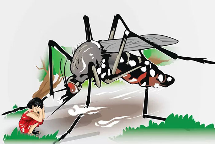 Ilustrasi penyakit demam berdarah/MAHENDRA ADITYA/JAWA POS RADAR KUDUS