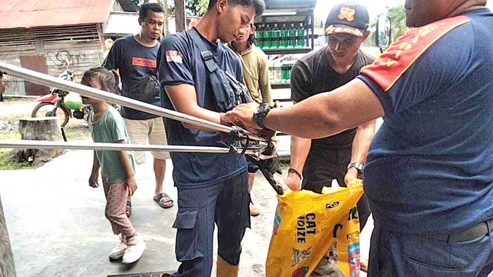 PENANGANAN : Tim Damkar Kota Palangka Raya mengamankan ular piton di pemukiman warga Jalan Putri Junjung Buih. ISTIMEWA/RADAR PALANGKA