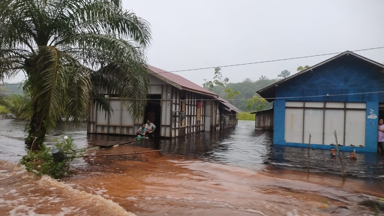 YUNI/RADAR SAMPIT BANJIR: Kondisi banjir di Desa Sei Ubar Mandiri Kecamatan Cempaga Hulu, Kamis (28/11/2024).