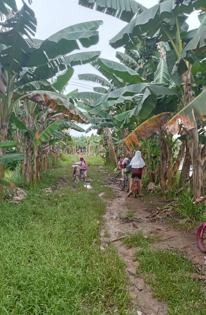 PRIHATIN - Anak-anak Desa Palingkau Lama, Kecamatan Kapuas Murung, Kabupaten Kapuas ketika melewati jalan desa sepulang sekolah. ISTIMEWA/RADAR SAMPIT