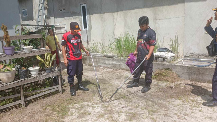 PENANGANAN : Tim Rescue Damkar Kota Palangka Raya saat melakukan penanganan ular lidi dari rumah warga Jalan G Obos, Jumat (13/12/2024). ISTIMEWA/RADAR PALANGKA