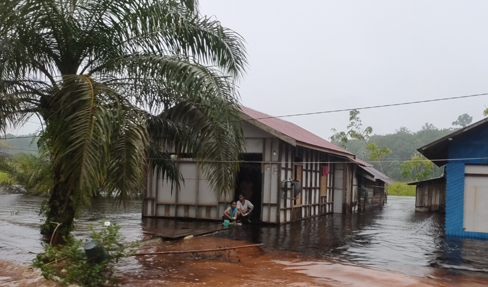 Banjir di wilayah pedalaman Kabupaten Kotawaringin Timur, dampak tingginya curah hujan jelang akhir tahun 2024.