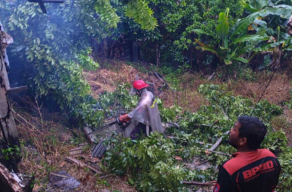 CUACA BURUK: Personel BPBD menangani pohon tumbang di Jalan Natai Arahan, Kelurahan Baru, Kecamatan Arut Selatan, Kabupaten Kobar, Minggu (15/12).