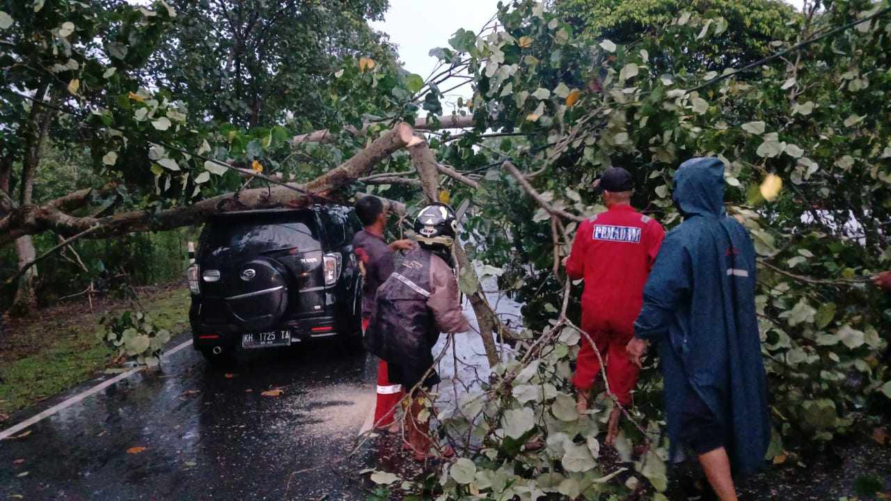 CUACA BURUK: Evakuasi pohon yang menimpa kabel listrik dan sebuah mobil Terios KH 1725 TA milik Yanto, di Jalan Adonis Samad Palangka Raya menuju arah Bandara Tjilik Riwut, Selasa (17/12) pagi.