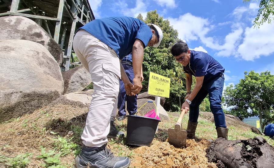 CEO Minamas Plantation Azmi Jaafar saat melakukan penanaman pohon jenis durian di areal konservasi milik PT Teguh Sempurna