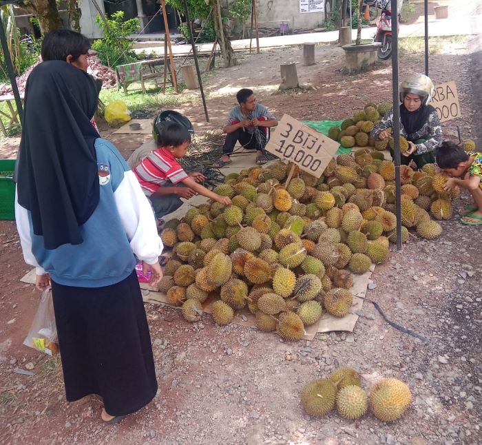 BUAH KULIT BERDURI: Warga Nanga Bulik, Lamandau menyerbu pedagang yang menggelar lapak buah durian, Selasa (24/12/2024). RIA MEKAR ANGGREANI/RADAR SAMPIT