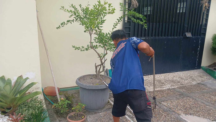 PENANGANAN : Petugas Damkar Kota Palangka Raya menangkap ular piton sepanjang satu meter di rumah warga Jalan Sisingamaraja, Palangka Raya. ISTIMEWA/RADAR PALANGKA