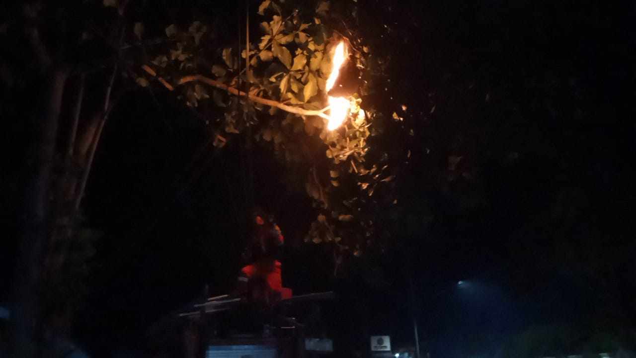 Tim Rescue Damkar  Kota Palangka Raya dengan menggunakan baju pelindung saat melakukan evakuasi dan pemusnahan sarang tawon vespa di malam hari, baru-baru tadi.