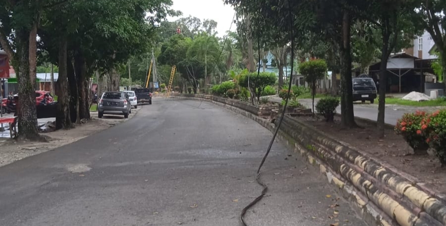 Pohon tumbang di jalan Malijo, Kelurahan Madurejo, Kecamatan Arsel, Kabupaten Kotawaringin Barat, Minggu (5/1) IST/RADAR PANGKALAN BUN&nbsp;