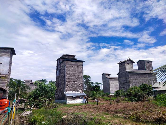 LESU PAJAK : Sejumlah gedung tempat budidaya sarang burung walet di Kabupaten Kotawaringin Barat. SYAMSUDIN/RADAR PANGKALAN BUN