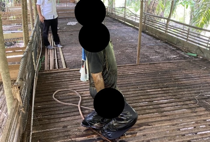 Mayat tergantung sudah mulai membusuk itu ditemukan di dalam kadang peternakan ayam yang berada di tengah kebun kelapa sawit, Senin (13/1/2025).
