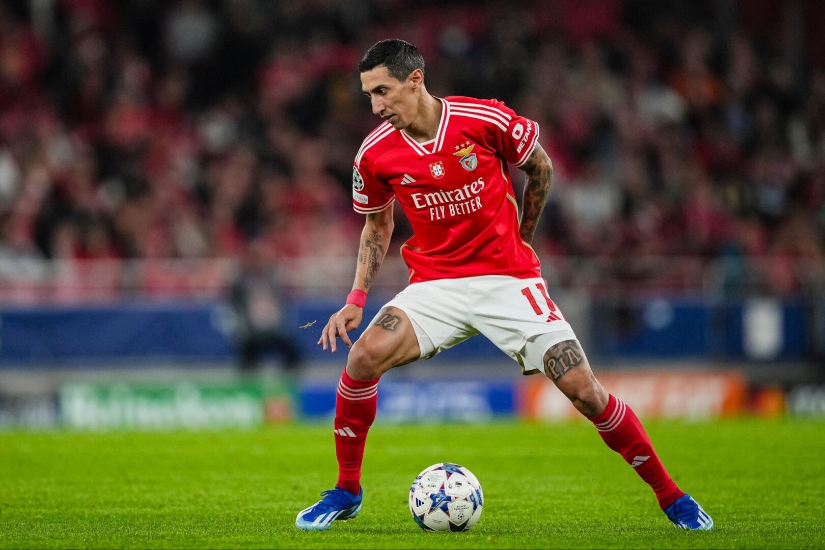 Veteran timnas Argentina Angel Di Maria, yang kini bermain di Benfica, bakal tampil di Liga Champions Eropa vs Barcelona.