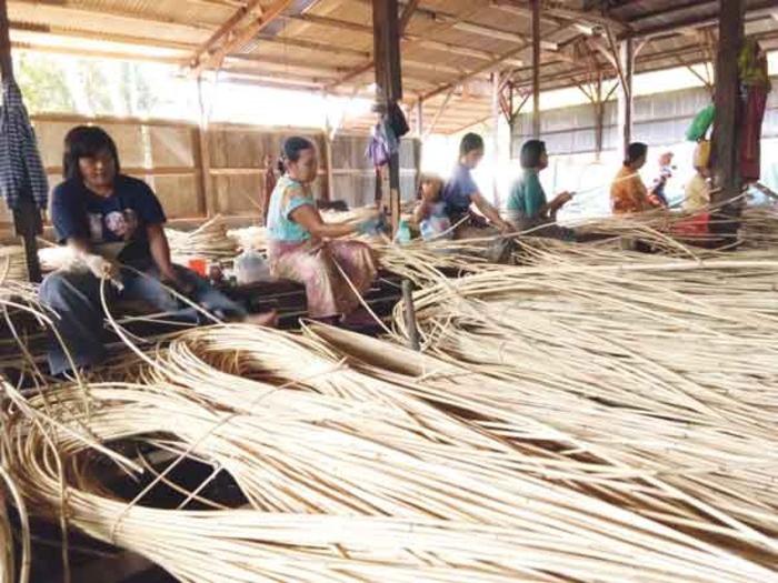 ROTAN: Pekerja rotan saat mengikat puluhan bilah rotan untuk dikirim ke antarpulau di Gudang Rotan milik salah seorang pengusaha rotan di Kecamatan Kotabesi. (DOC. RADAR SAMPIT)