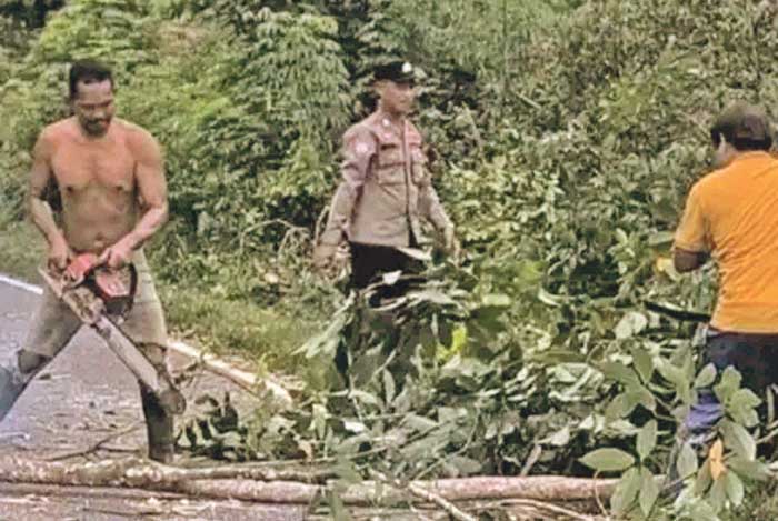 TANGGAP: Personel Polsek Kahayan Tengah bersama warga menebang pohon yang rawan tumbang saat cuaca buruk. Humas Polres Pulpis For Radar Sampit