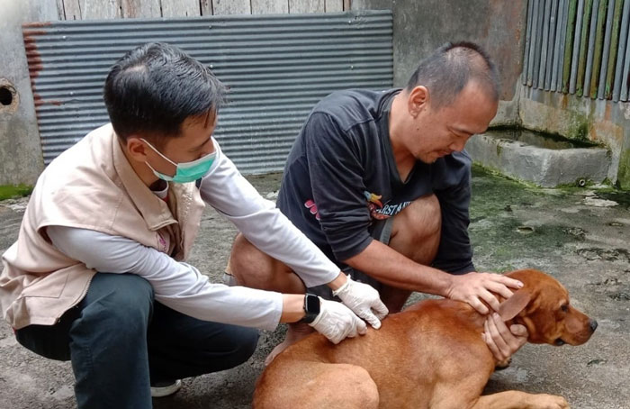 CEGAH RABIES: Dinas Pertanian Kabupaten Kotawaringin Barat saat memberikan vaksin rabies untuk anjing belum lama ini.