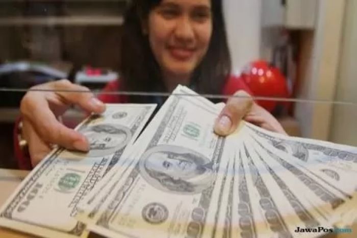 Ilustrasi Dollar Amerika Serikat