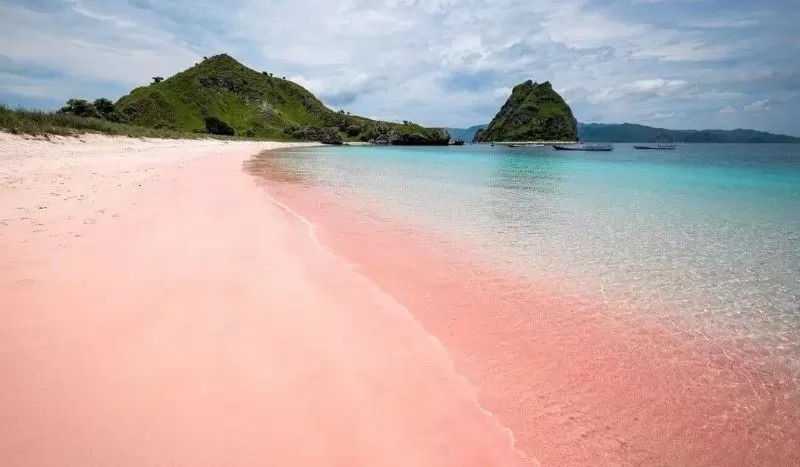 Pantai Pink atau Pink Beach, yang terletak di Pulau Komodo, Nusa Tenggara Timur dengan keunikan pasirnya yang berwarna merah muda. ( jalanjalanyuk.co.id)