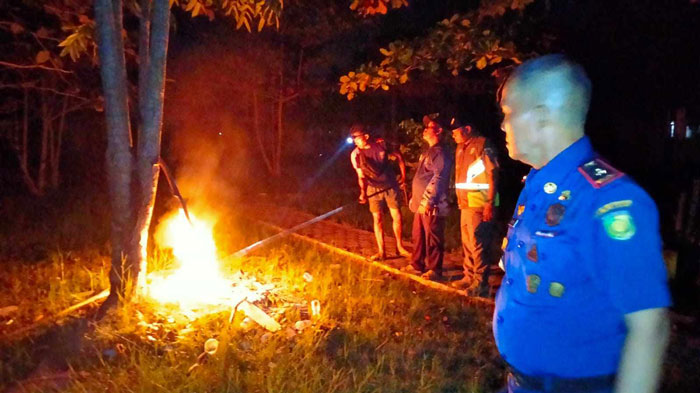 PENANGANAN : Tim Rescue Damkar Kota Palangka Raya saat melakukan penanganan evakuasi sarang tawon vespa, Rabu (05/02/2025) malam. ISTIMEWA/RADAR PALANGKA