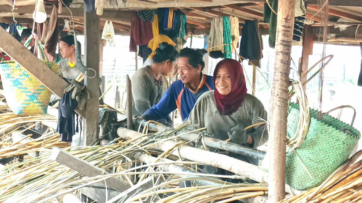 ROTAN: Kegiatan petani rotan di wilayah Kecamatan Kotabesi.&nbsp;