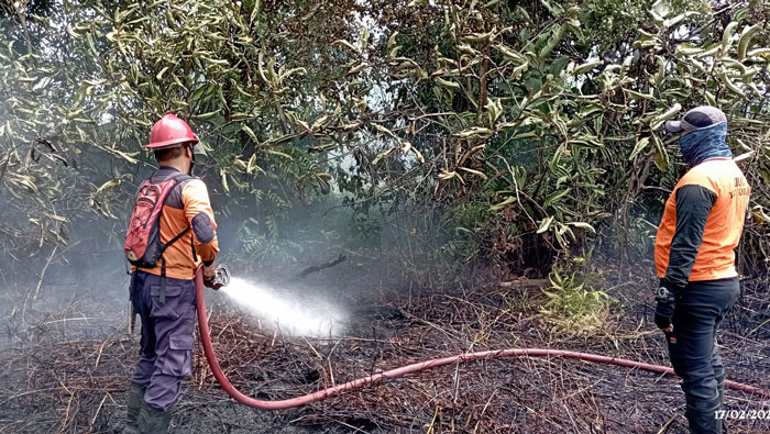 KARHUTLA : Kebakaran hutan di Jalan Ahmad Yani, Kelurahan Baru, Kecamatan Arut Selatan, Senin (17/02/2025). ISTIMEWA/RADAR PANGKALAN BUN