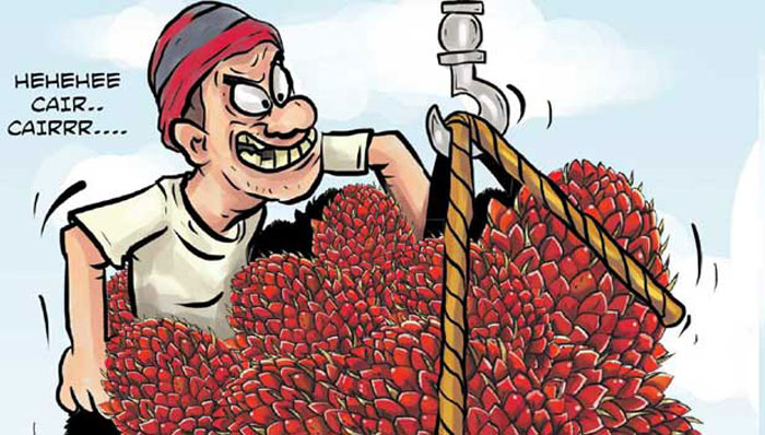 ilustrasi maling sawit