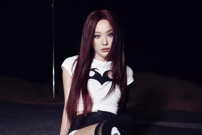 Seulgi Red Velvet. (Soompi)