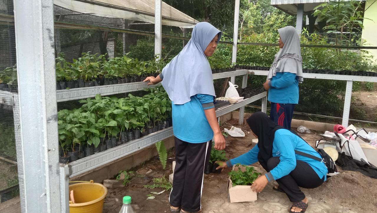 Program pemberdayaan tanaman pangan  dari Astra Agro di Desa Sungai Pakit