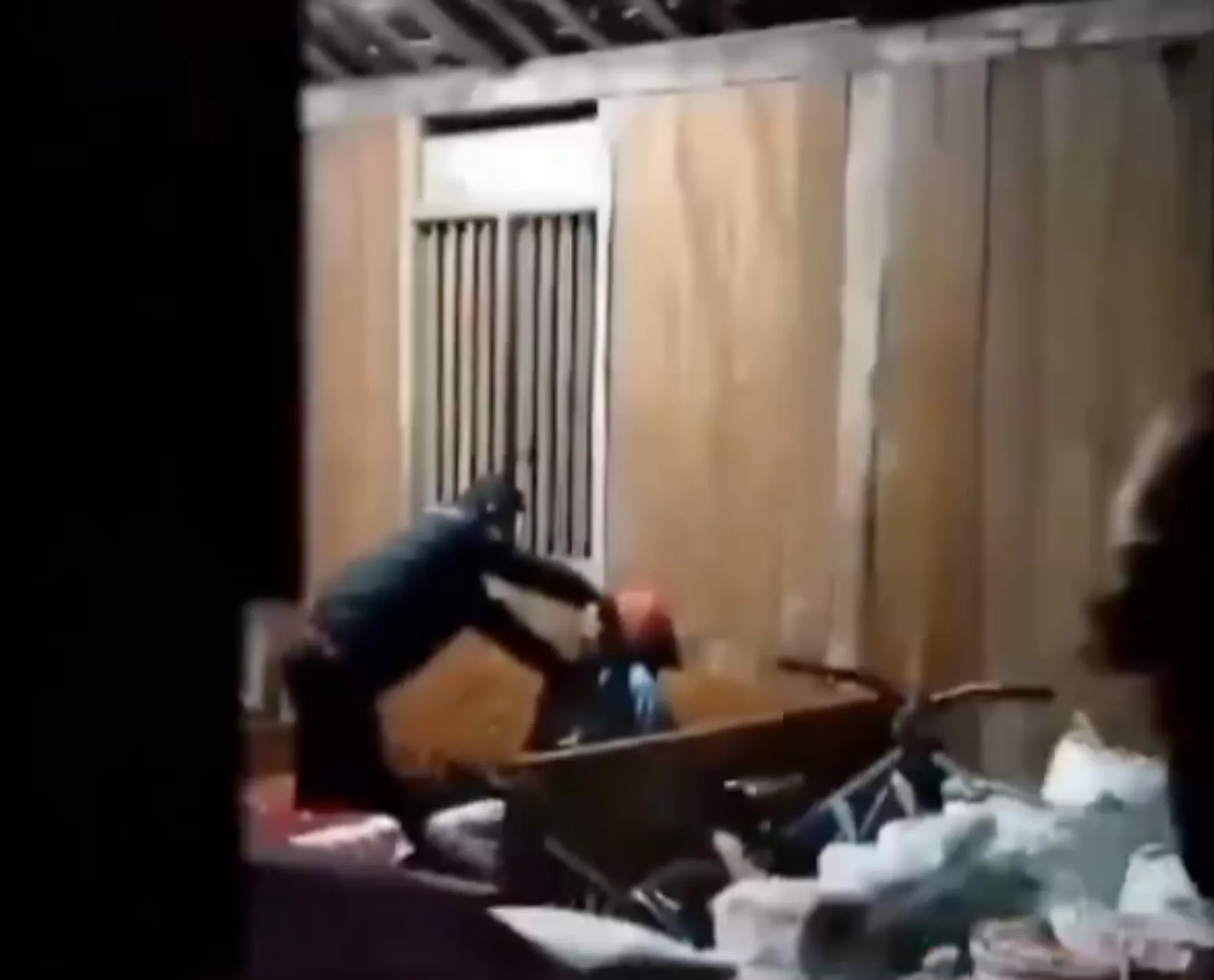 Pencari bekicot yang dituduh maling oleh oknum polisi. (Foto: Tangkapan Layar)