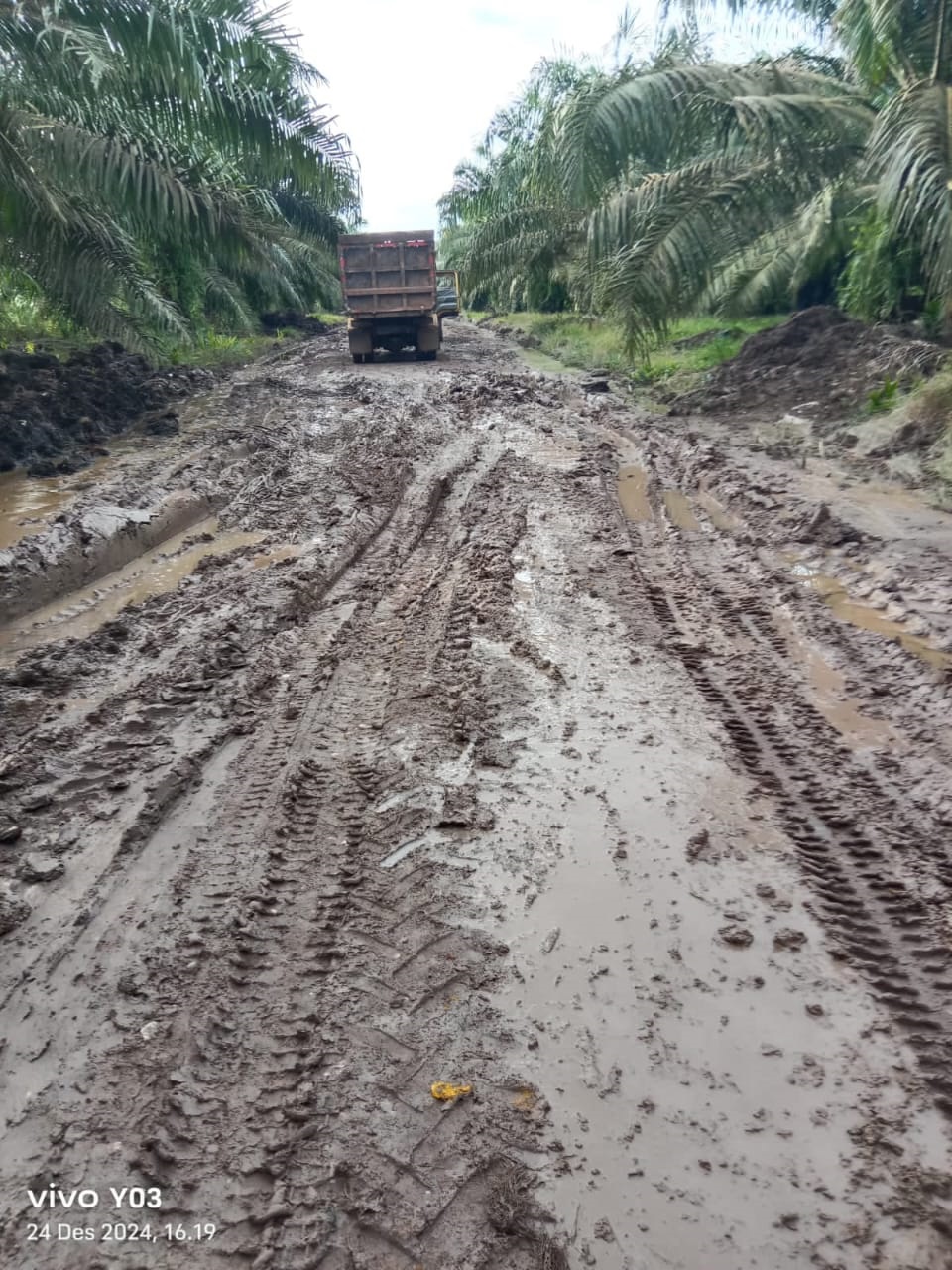 Kondisi jalan poros Desa Sidomulyo, Kecamatan Mantangai  Kabupaten Kapuas, yang minim perhatian pemerintah dan pihak PBS.