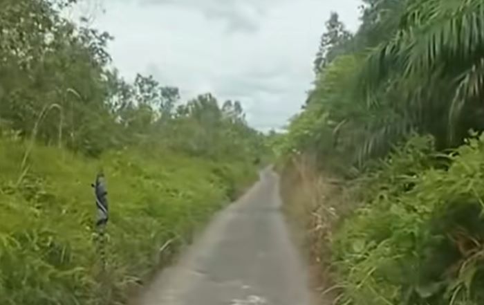 PEMAKAMAN : Kondisi jalan masuk menuju TPU Pal 12, Jalan Ahmad Yani, Kecamatan Arut Selatan, Kabupaten Kotawaringin Barat (Kobar). IST/RADAR PANGKALAN BUN
