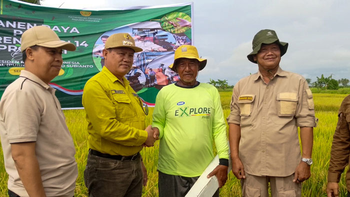 PANEN RAYA: Bupati Seruyan, Ahmad Selanorwanda didampingi Sekda Seruyan Djainuddin Noor mengikuti panen raya padi secara serentak yang digelar di Desa Persil Raya, Kecamatan Seruyan Hilir.