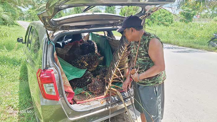 KEPERGOK MENCURI : Mobil milik terduga pencuri sawit rusak berat akibat diamuk massa di Jalan HM Arsyad, Sampit, Senin (14/04/2025). FAHRY/RADAR SAMPIT
