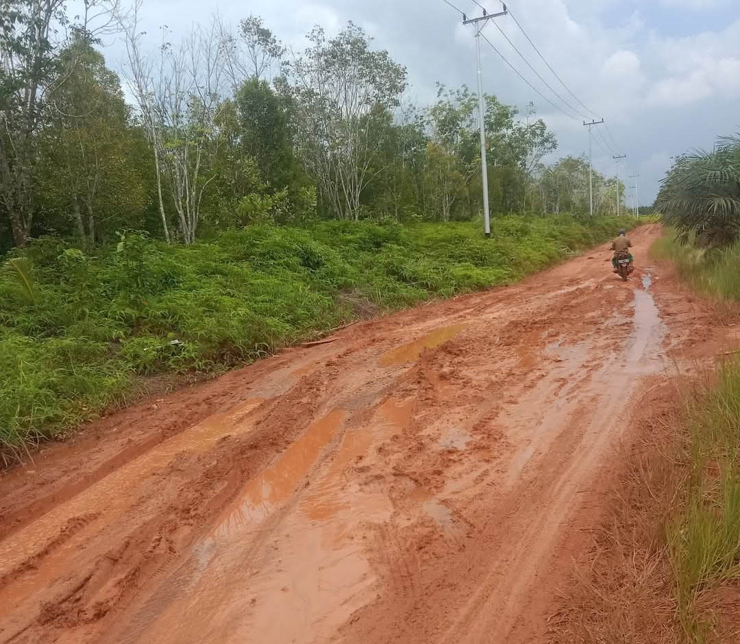 PERLU PERBAIKAN: Kondisi Jalan Desa Pelantaran Bawah, Kecamatan Cempaga Hulu, Kabupaten Kotawaringin Timur, sulit dilintasi karena rusak parah. &nbsp;&nbsp;