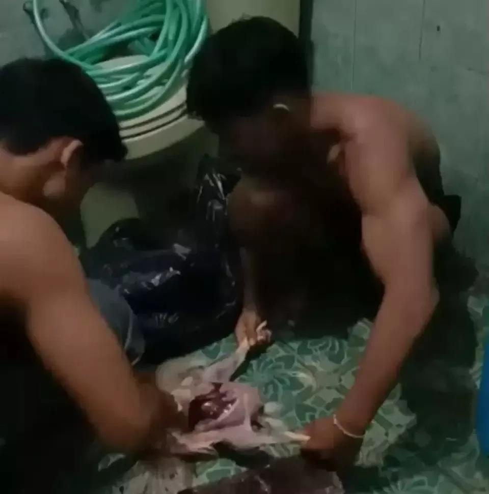 Tangkapan layar video viral atlet binaraga Kabupaten Malang, Jawa Timur, sembelih ayam tiren. (Instagram)