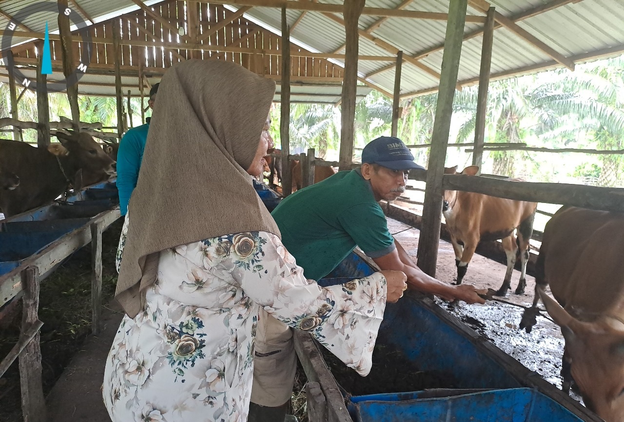MENCUKUPI: Kebutuhan terhadap hewan kurban saat Iduladha di Kobar dipastikan mencukupi.