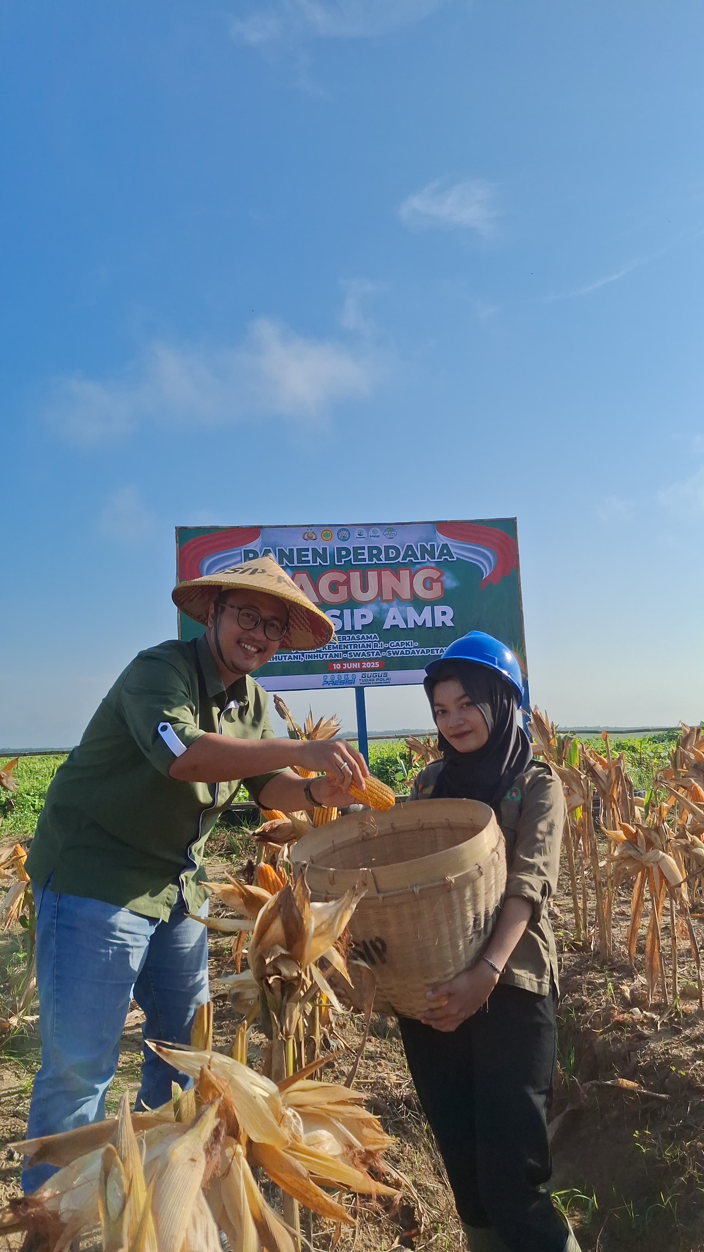 Adminstratur PT GSIP AMR, Rahadian Tegar Taufani melakukan panen perdana jagung di areal perusahaan