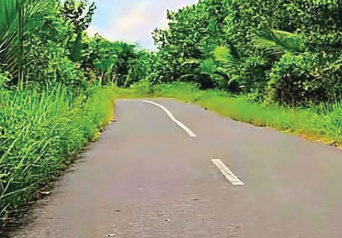 RAWAN KECELAKAAN: Kondisi jalan pendulangan Desa Tanjung Putri, Kecamatan Arut Selatan, Kabupaten Kotawaringin Barat, Selasa (8/7/2025). FOTO: AGUS/RADAR SAMPIT