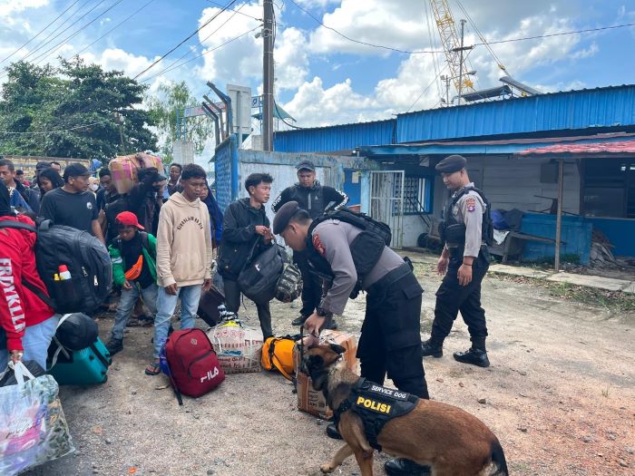 PATROLI : Anjing pelacak dari unit K-9 Polda Kalteng memeriksa bawaan penumpang kapal di Pelabuhan Sampit, Jumat (18/7/2025). //FOTO: POLRES KOTIM/RADAR SAMPIT
