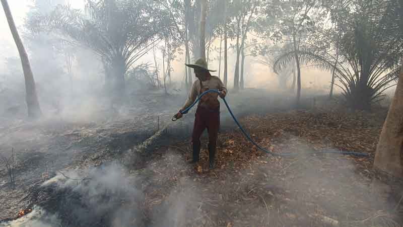 Seorang petani memadamkan api yang menjalar ke kebun karetnya saat musim kemarau. (Dokumentasi usay Nor Rahmad untuk Radar Sampit)