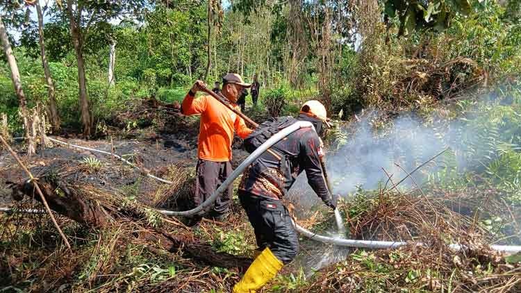 Petugas gabungan memadamkan api yang membakar semak di wilayah Kelurahan Baamang Hulu, Kecamatan Baamang, Kabupaten Kotawaringin Timur, Jumat (25/7/2025). (TRC BPBD Kotim untuk Radar Sampit)