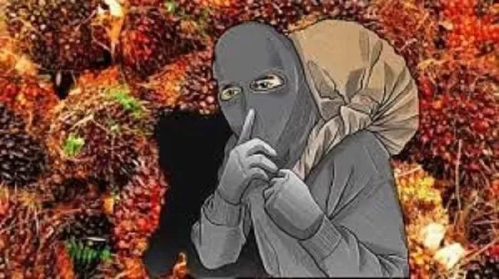 ilustrasi pencurian sawit/Jawa Pos