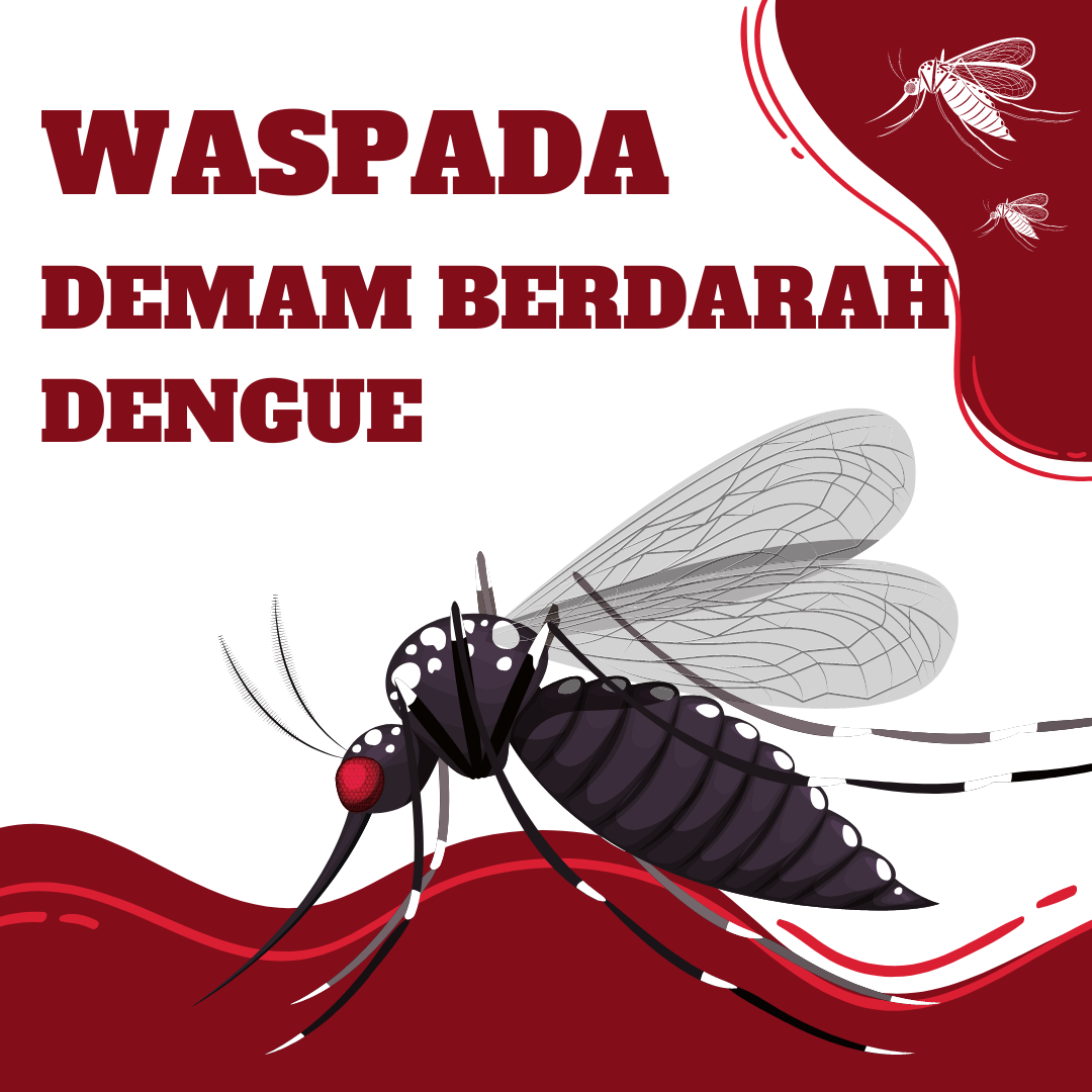 ilustrasi-nyamuk DBD