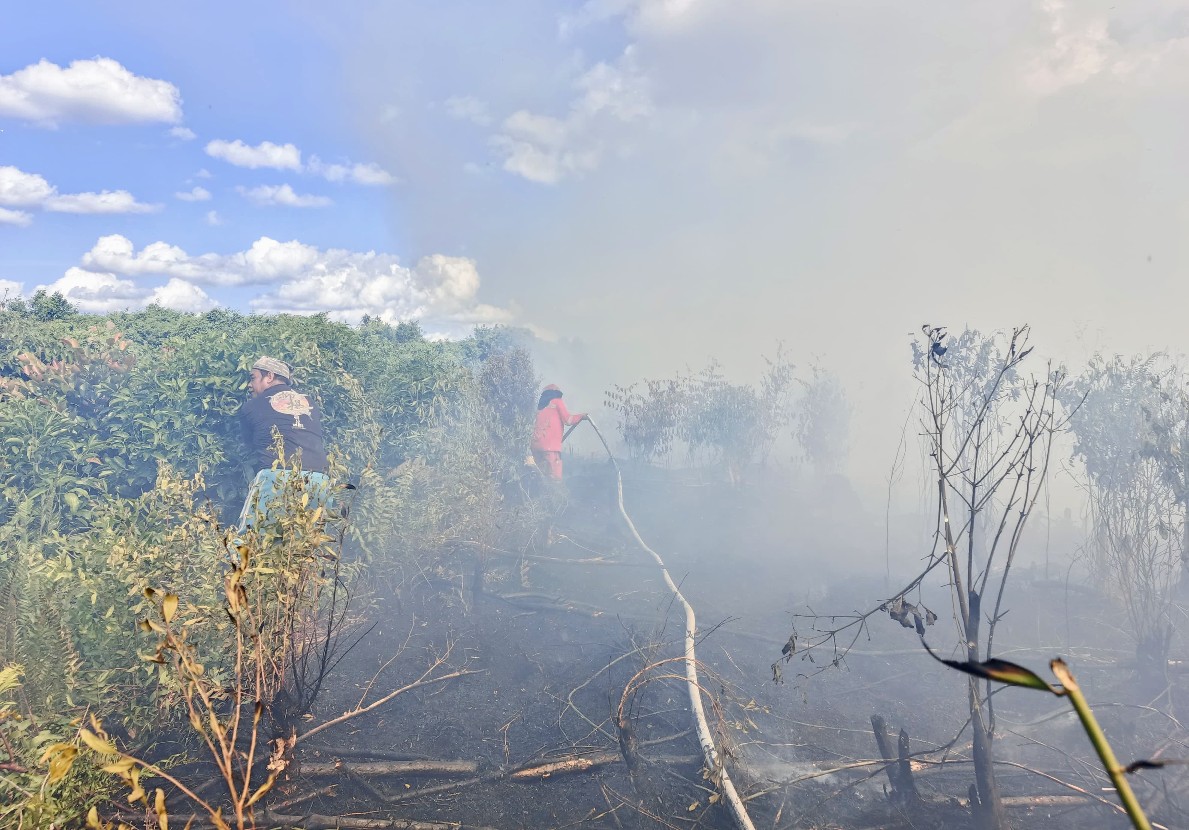 Kebakaran lahan yang melanda di Jalan Jaksa Agung Soeprapto, Selasa (29/7/2025). (TRC BPBD Kotim)
